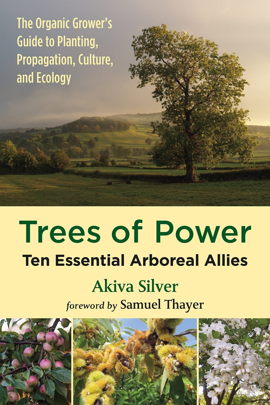 Trees of Power Akira Silver Ringing Cedars of Russia USA + Canada, Anastasia USA