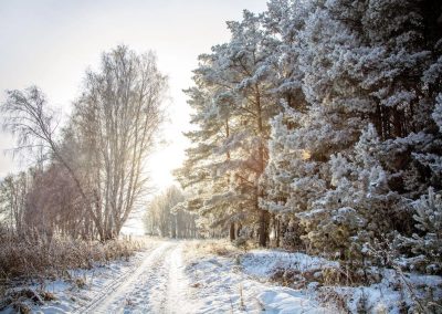 photo 16 2025 05 29 15 05 57 Ringing Cedars of Russia USA + Canada | Anastasia Foundation